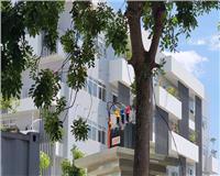 DỰ ÁN TRƯỜNG LIÊN CÁP FPT LỚN NHẤT TẠI BẮC NINH