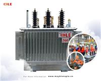 560 kVA hot-dip galvanized three-phase transformer-03