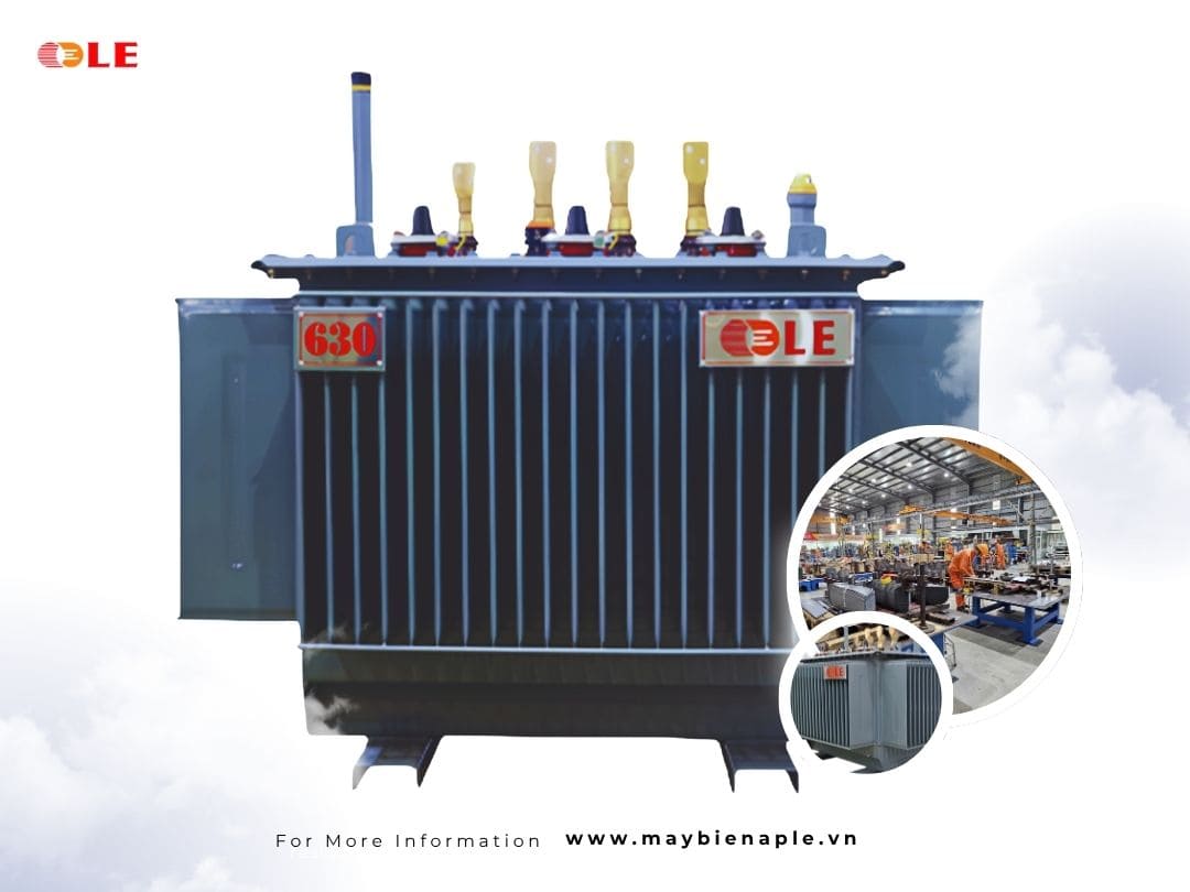 Modern Production Lines and Advanced Technology.