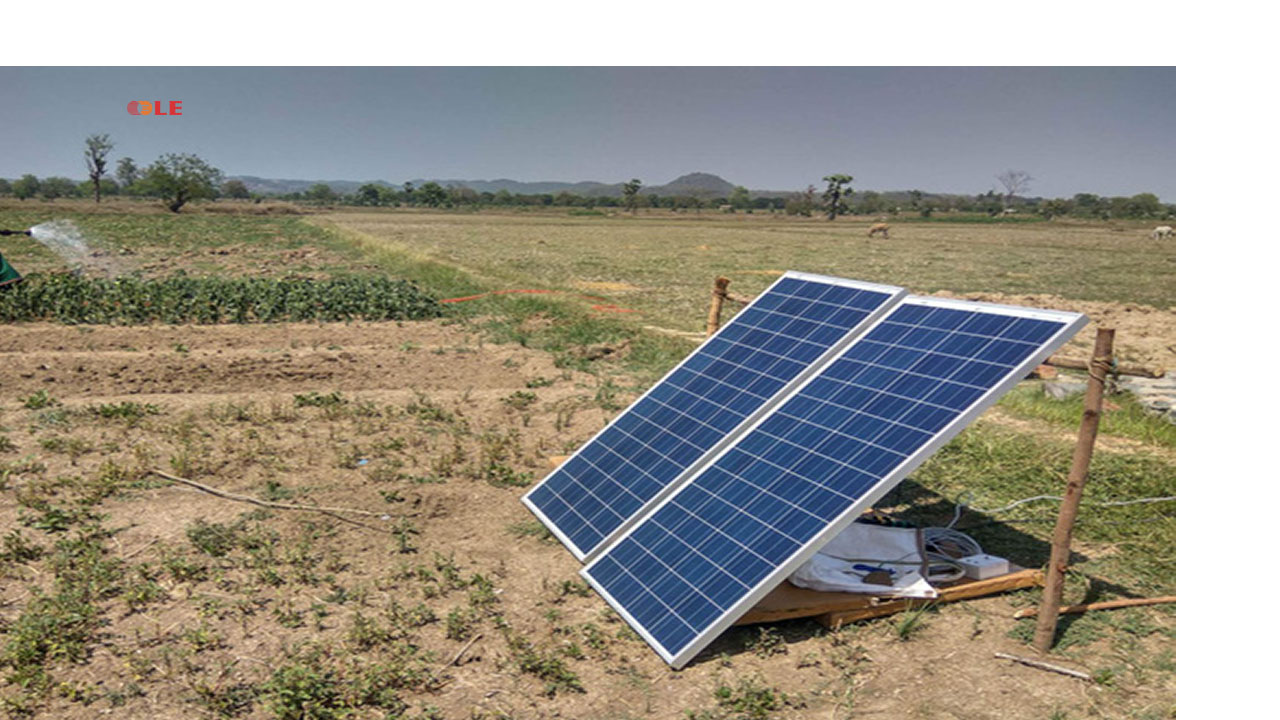 Mô hình trồng rau sử dụng điện mặt trời tại ẤN Độ